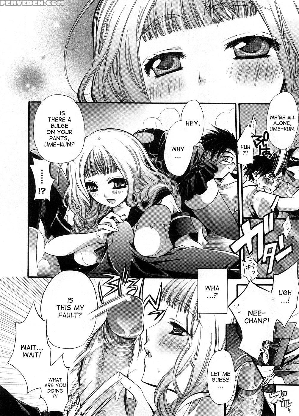 [cotoji] Sis X Bro (comic Megastore H 2008-09) [english] [desudesu] 1