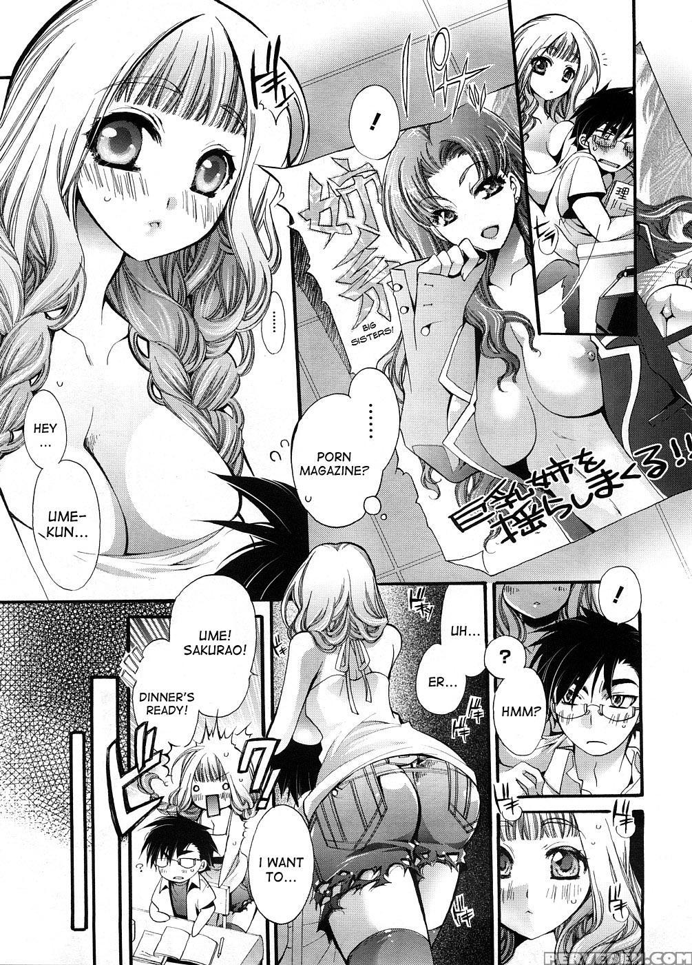 [cotoji] Sis X Bro (comic Megastore H 2008-09) [english] [desudesu] 1