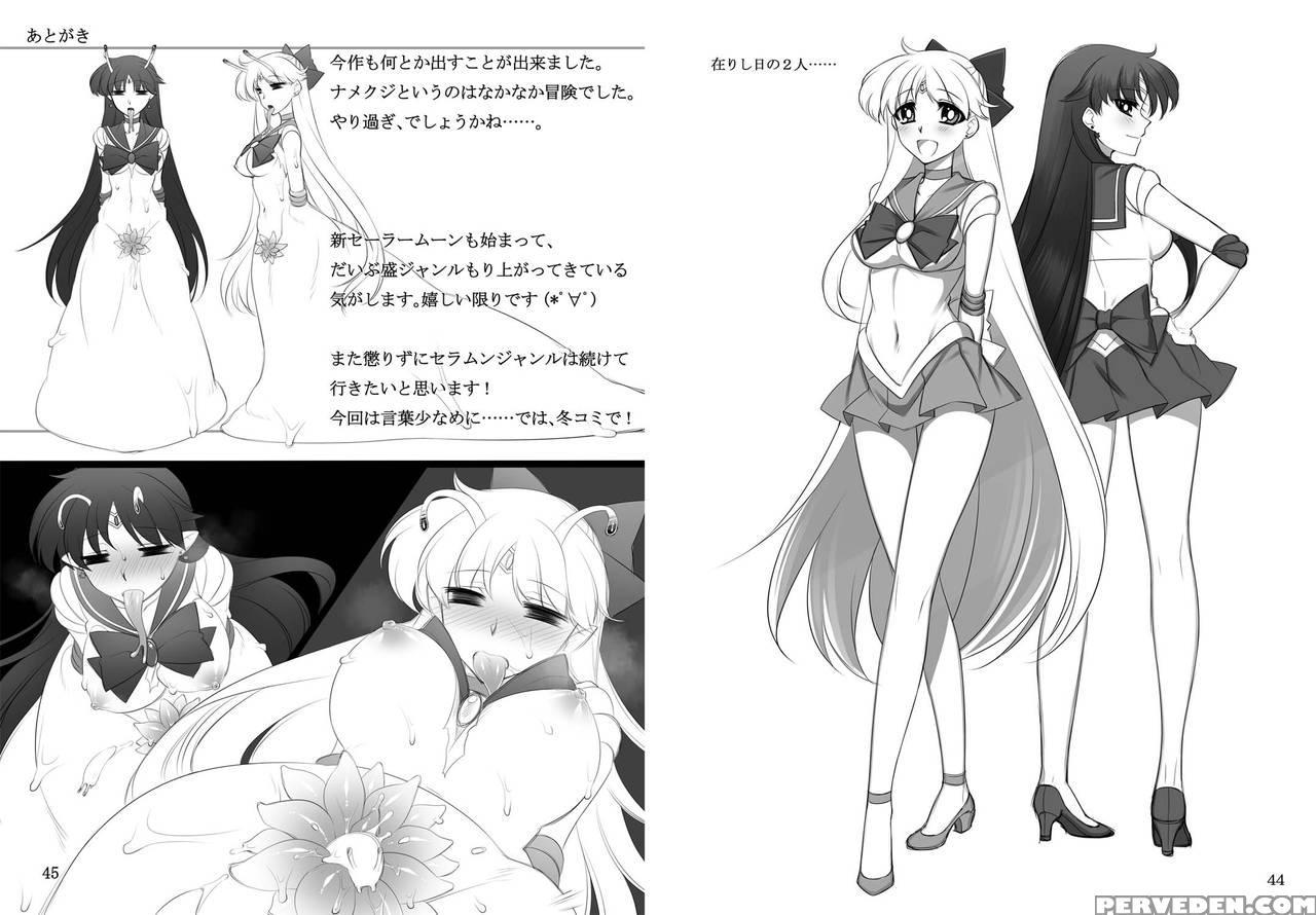 [daraku Jiko Chousa Iinkai (sch-mit)] Kasei To Kinsei No Nare No Hate (bishoujo Senshi Sailor Moon) [english] {konbini} [digital] Chapter 1 Page 23