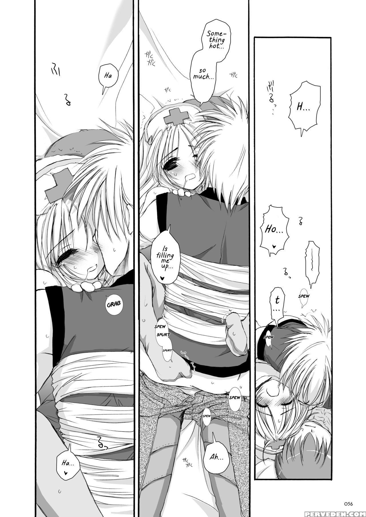 [digital Lover (nakajima Yuka)] D.l. Action 18 (dl-ro Perfect Collection 02) (ragnarok Online) [english] [digital] 1
