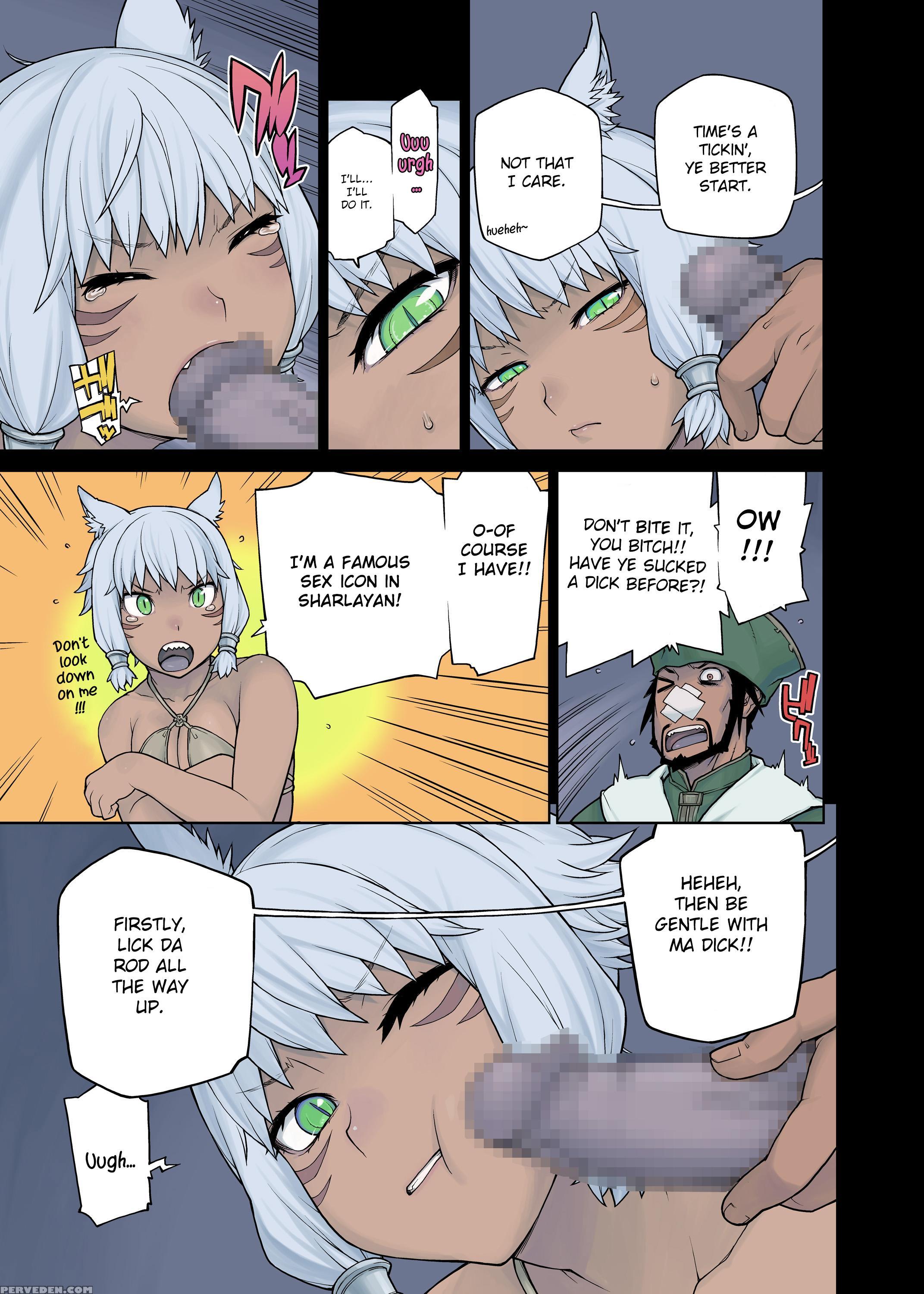 [hebisakudou (yoshida Hebisaku)] Neko Daisuki Xiv (final Fantasy Xiv) [english] {cutegirls} [digital] Chapter 1 Page 13