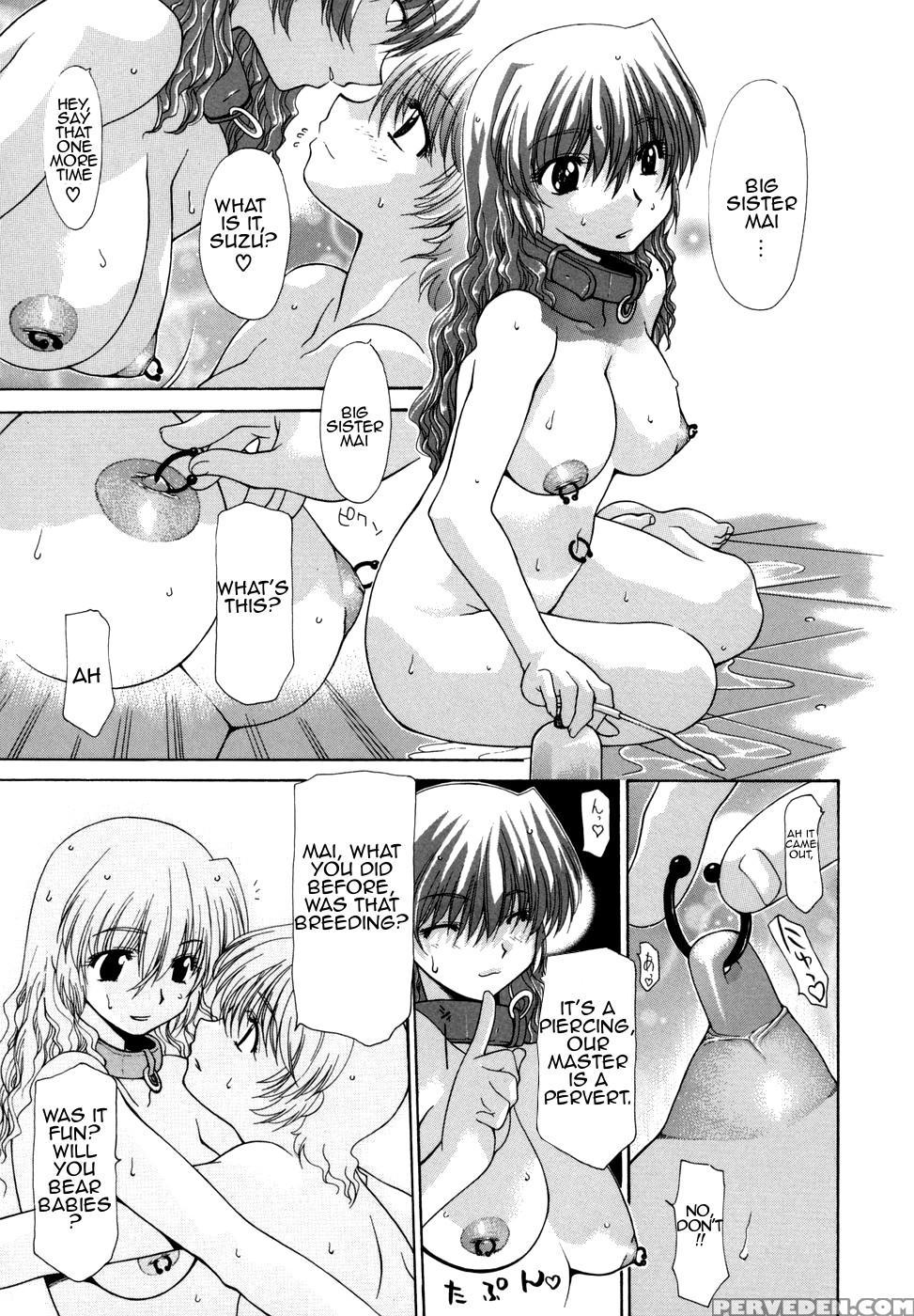 [izawa Shinichi] Hana Cupid [english] [amoskandy] 1
