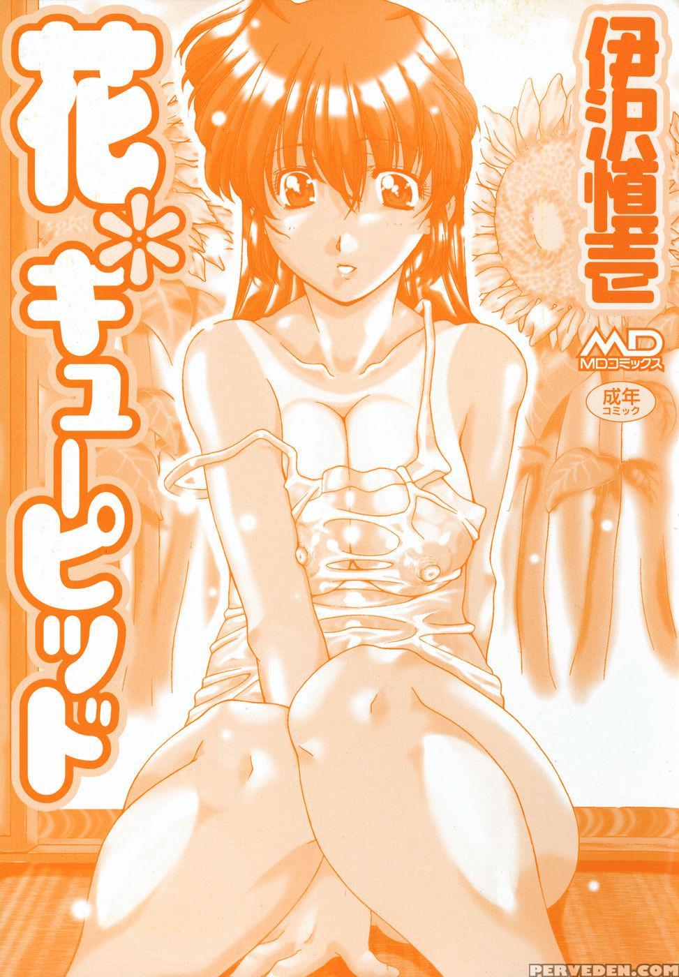 [izawa Shinichi] Hana Cupid [english] [amoskandy] 1