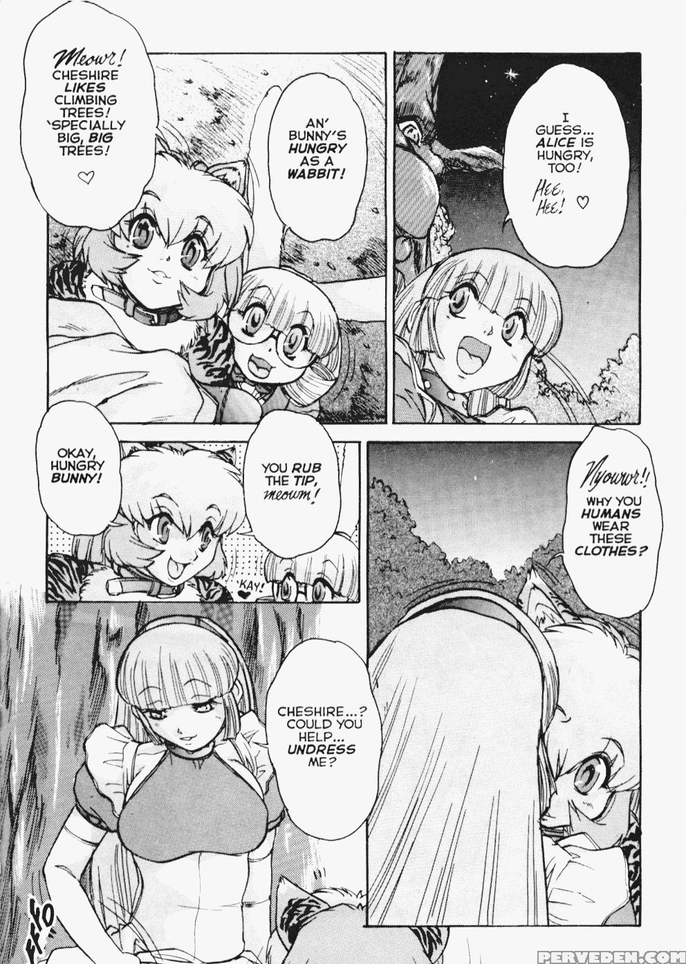 [juubaori Mashumaro] Alice First Ch. 3 (alice In Sexland 3) [english] 1