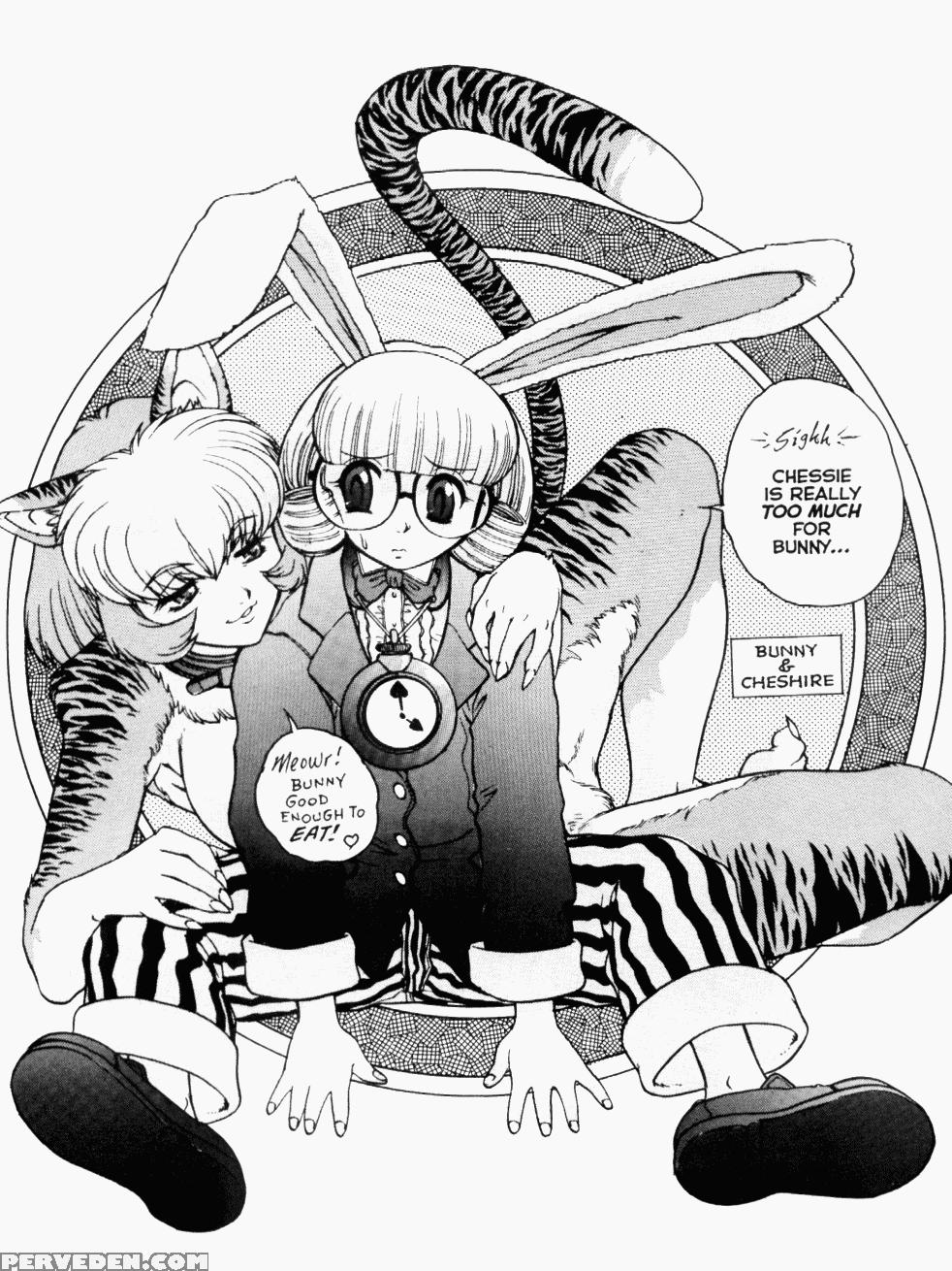 [juubaori Mashumaro] Alice First Ch. 3 (alice In Sexland 3) [english] 1