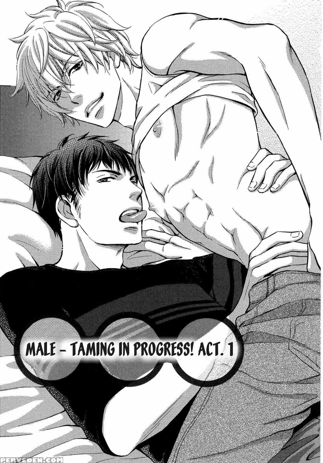 [kaneko Ako] Juuyoku Porno Ch. 1 [english] [nijiniji Nikubou Scans] [decensored] 1