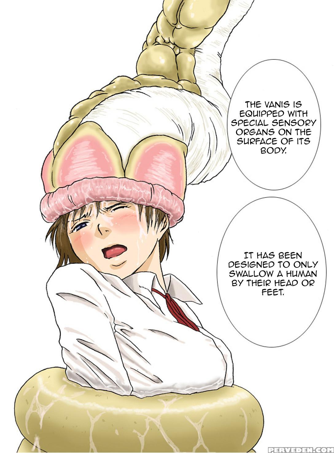 [kasetsu Shirokuma (yoi)] P045-02 Vanis Report [english] [crayzayjay] 1