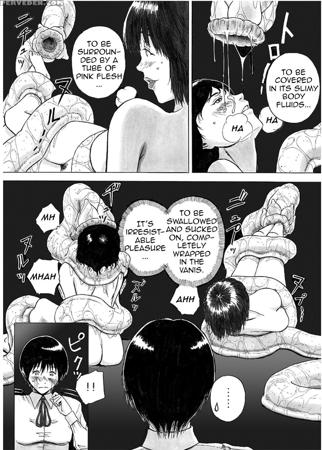 [kasetsu Shirokuma (yoi)] P045-02 Vanis Report [english] [crayzayjay] 1