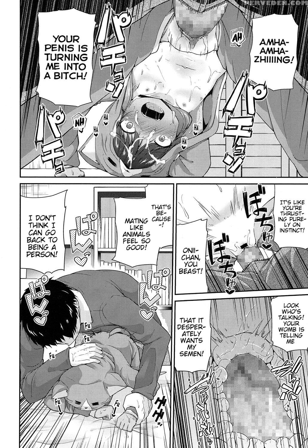 [leafy] Wagaya No Neko Jijou | Our Home's Cat Situation (comic Lo 2017-02) [english] [blindeye] [digital] 1