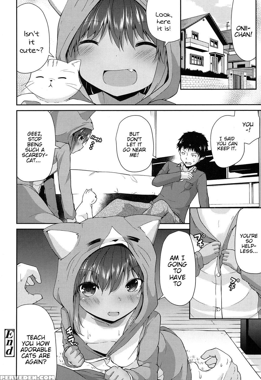 [leafy] Wagaya No Neko Jijou | Our Home's Cat Situation (comic Lo 2017-02) [english] [blindeye] [digital] 1