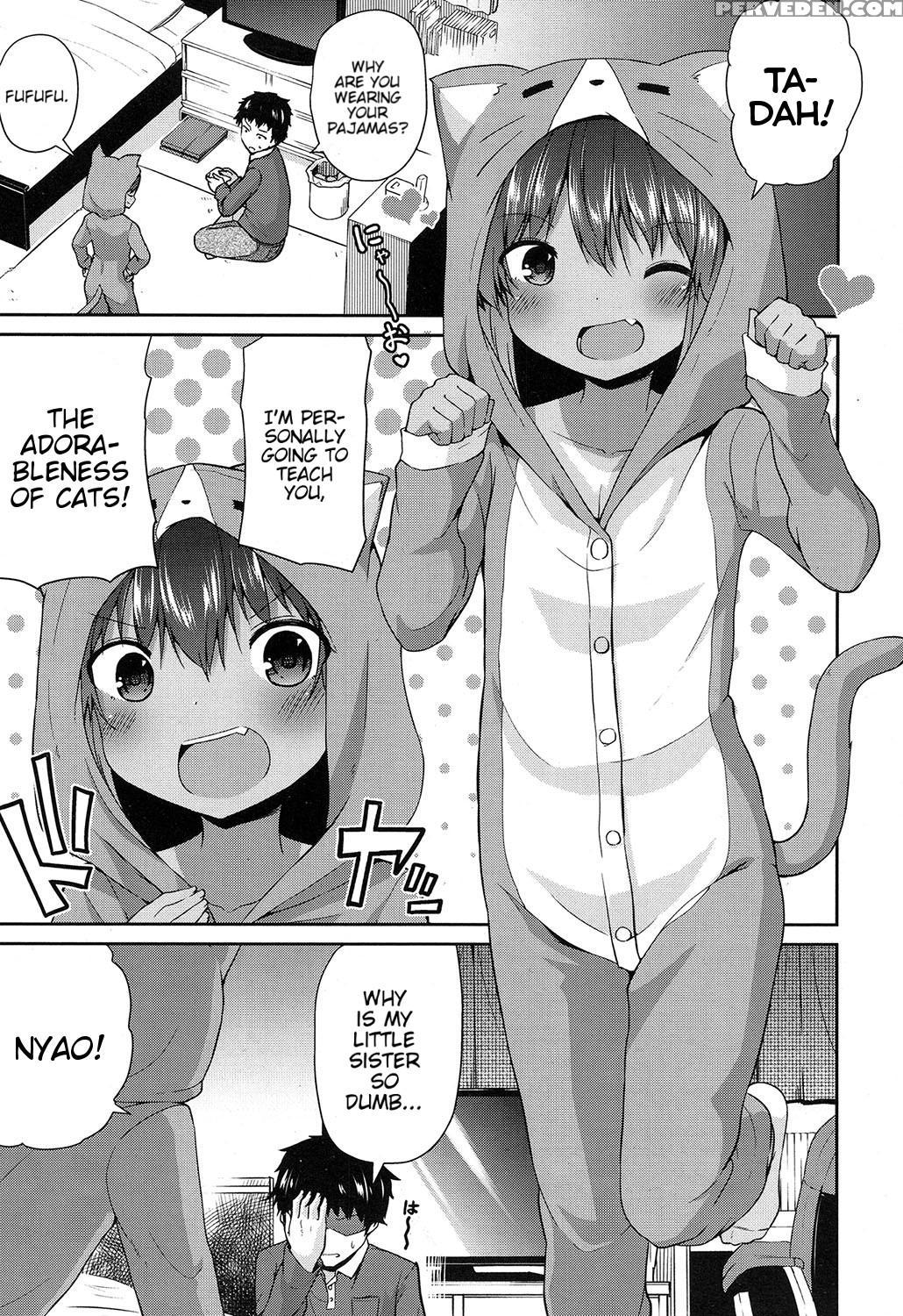 [leafy] Wagaya No Neko Jijou | Our Home's Cat Situation (comic Lo 2017-02) [english] [blindeye] [digital] 1