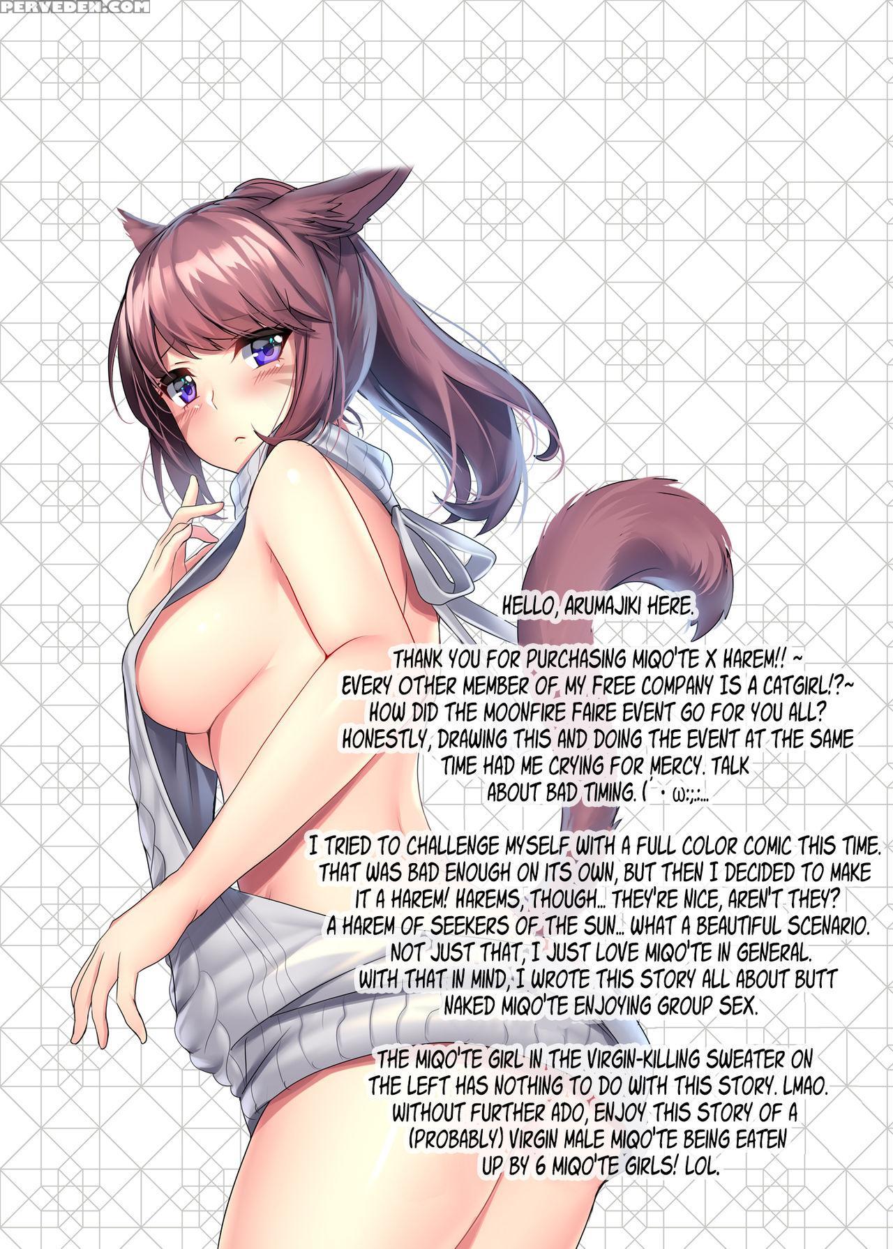 [lionoil (arumajiki)] Miqo'te X Harem!! Ore Igai N... 1