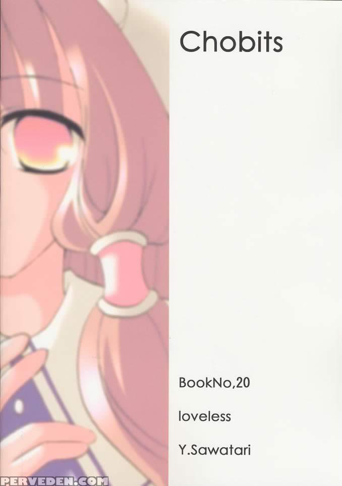 [loveless (sawatari Yuuka)] Chiibits 2 (chobits) [english] [hmp] 1