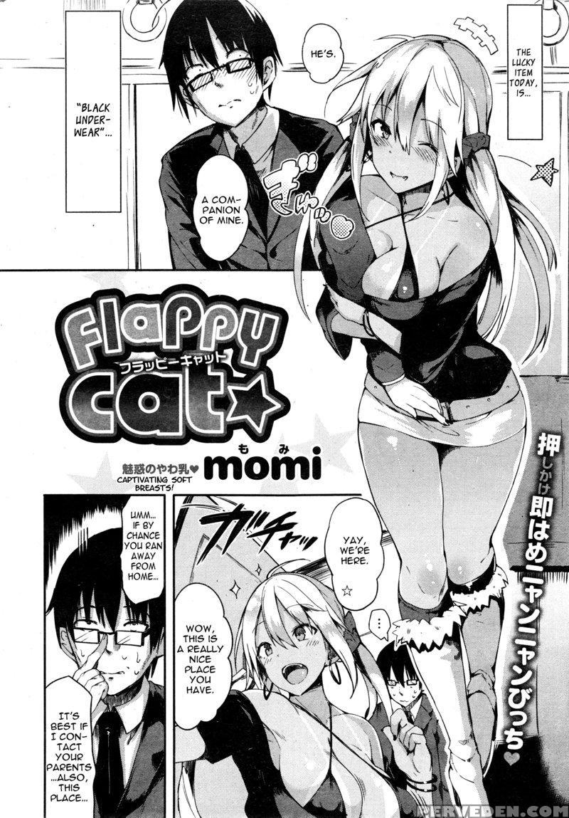 [momi] Flappy Cat 1