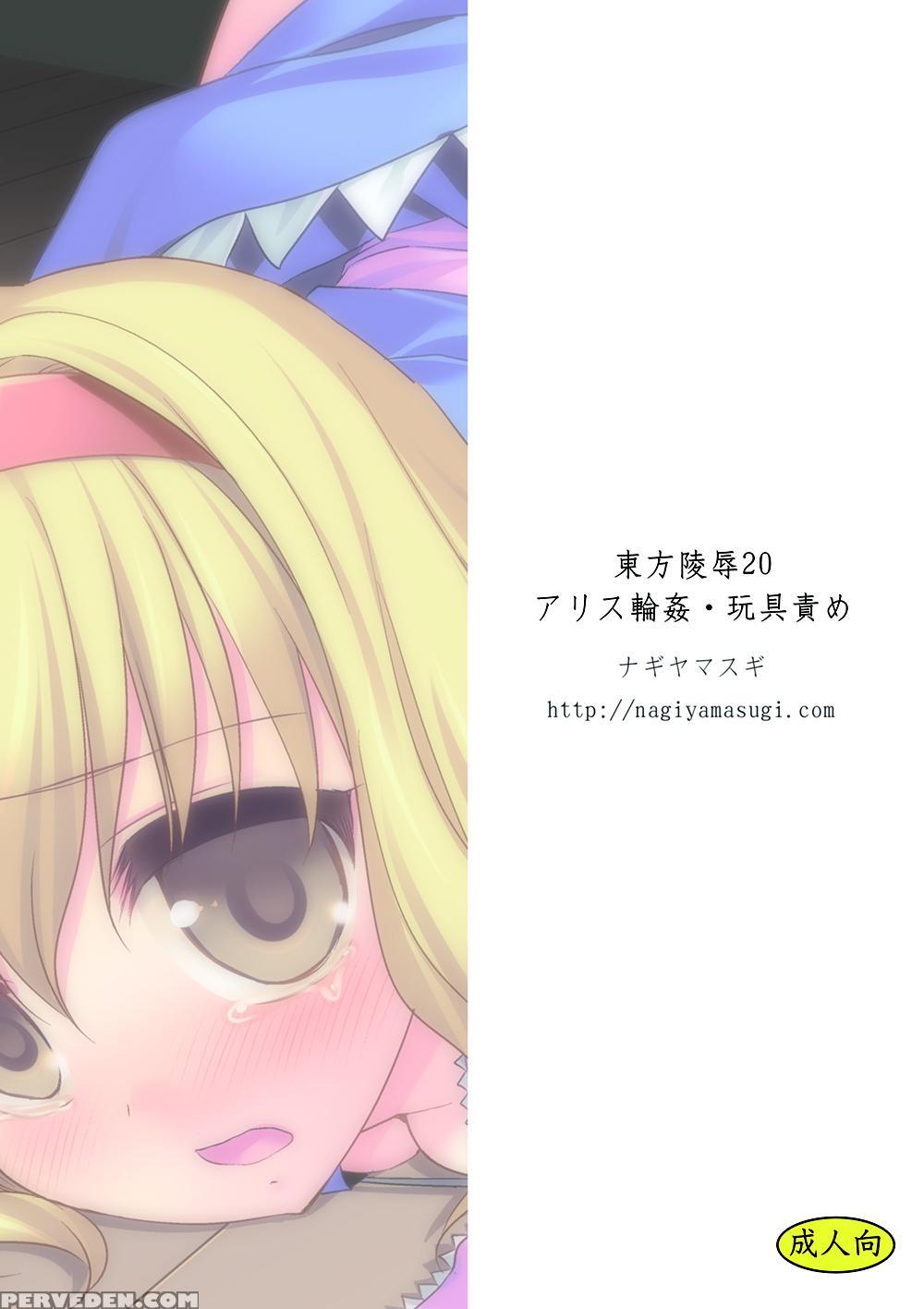 [nagiyamasugi (nagiyama)] Touhou Ryoujoku 20 Alice Rinkan - Gangu-zeme (touhou Project) [english] [desudesu] [digital] 1