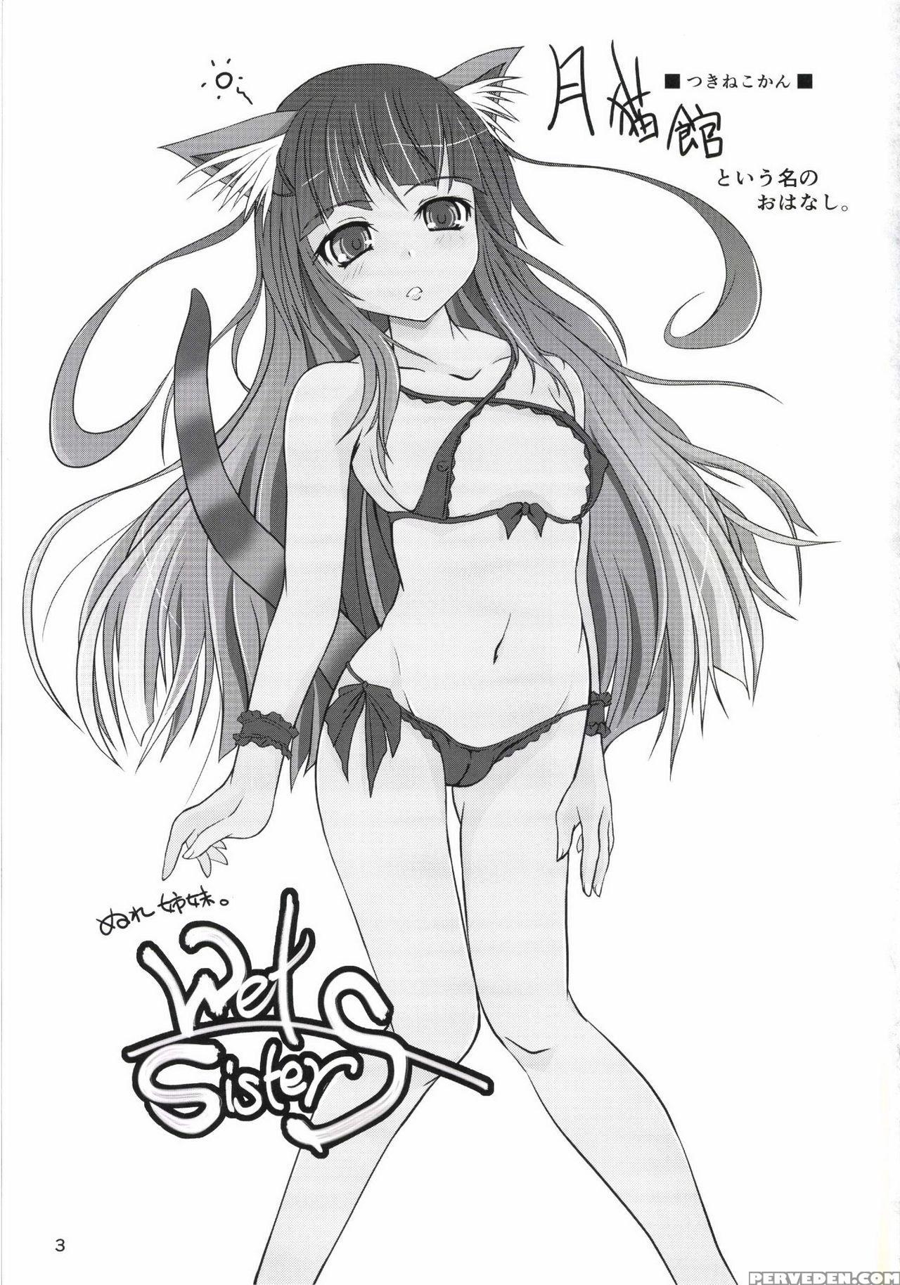 [nekonote Shobou (nekonta)] Wet Sisters [english] 1