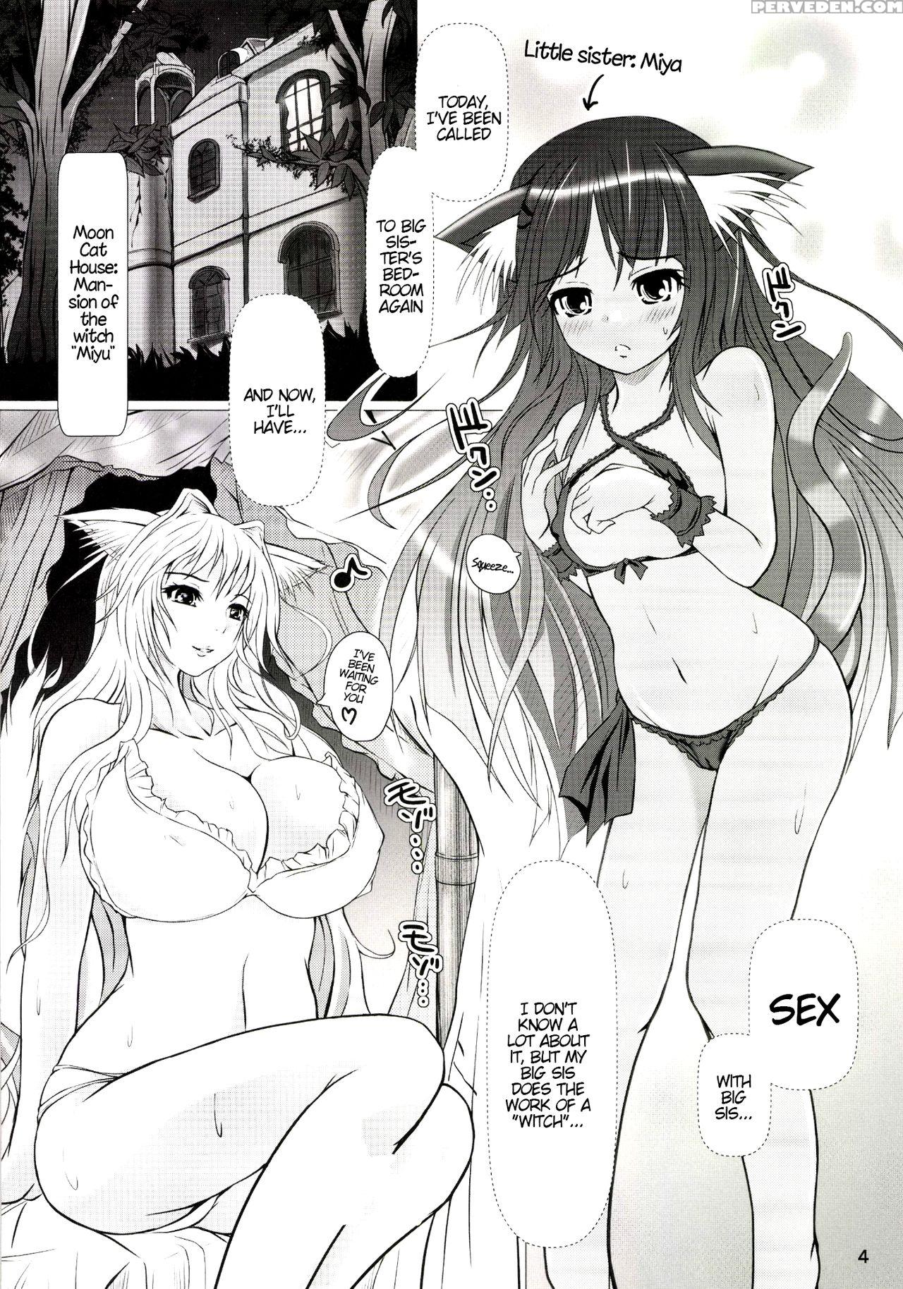 [nekonote Shobou (nekonta)] Wet Sisters [english] 1