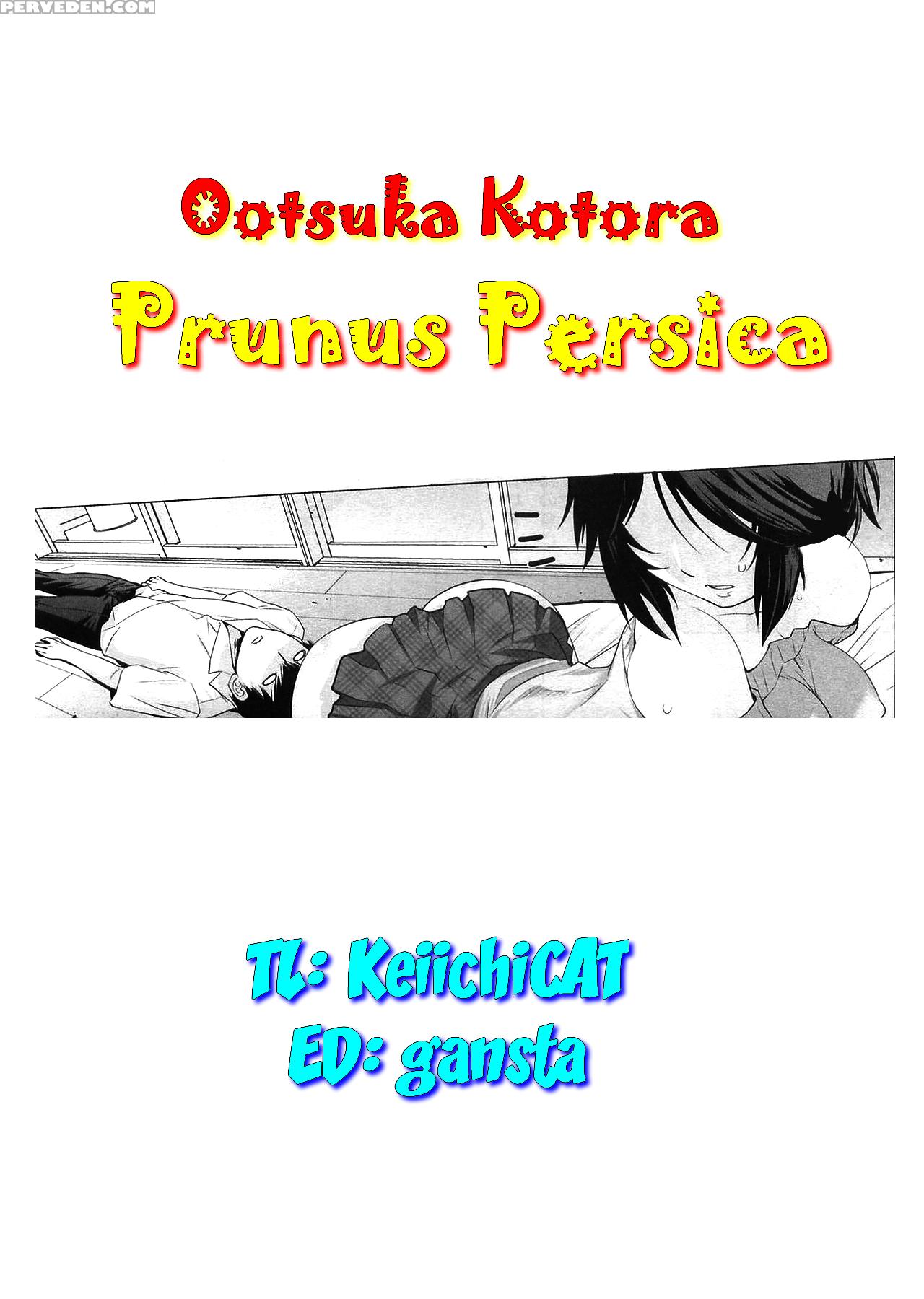 [ootsuka Kotora] Prunus Persica (comic Megastore 2010-05) [english] [keiichicat] [decensored] 1