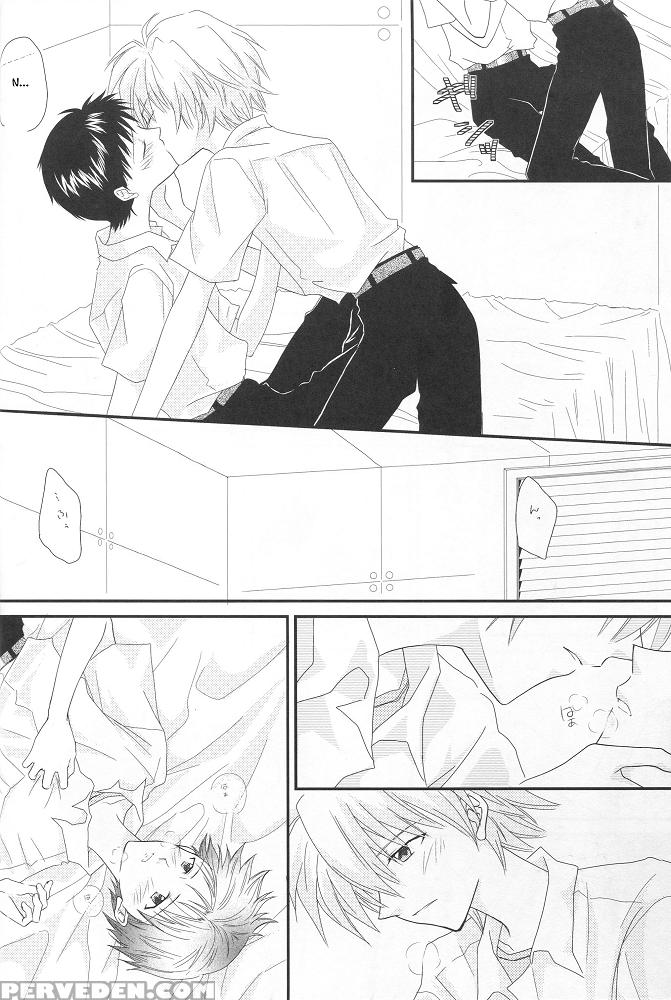 [pieta (hina Yuki)] In My Room (neon Genesis Evangelion) [english] [tyroluuki] 1