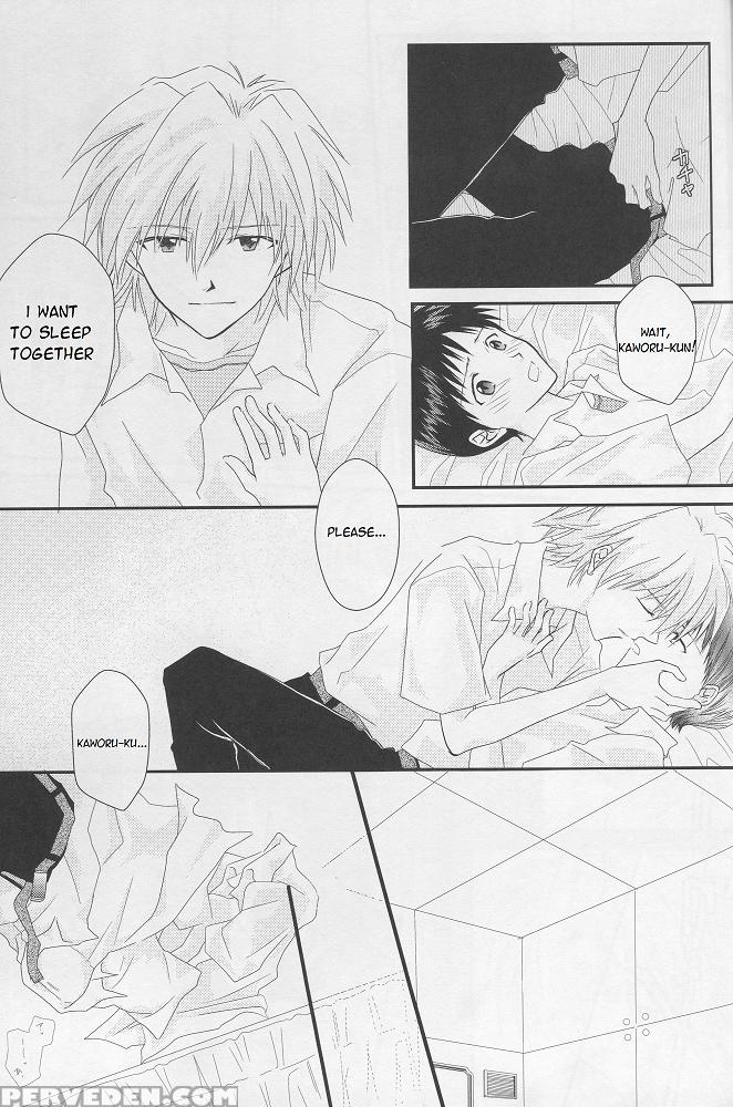 [pieta (hina Yuki)] In My Room (neon Genesis Evangelion) [english] [tyroluuki] 1