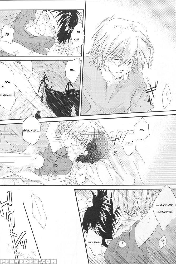[pieta (hina Yuki)] In My Room (neon Genesis Evangelion) [english] [tyroluuki] 1