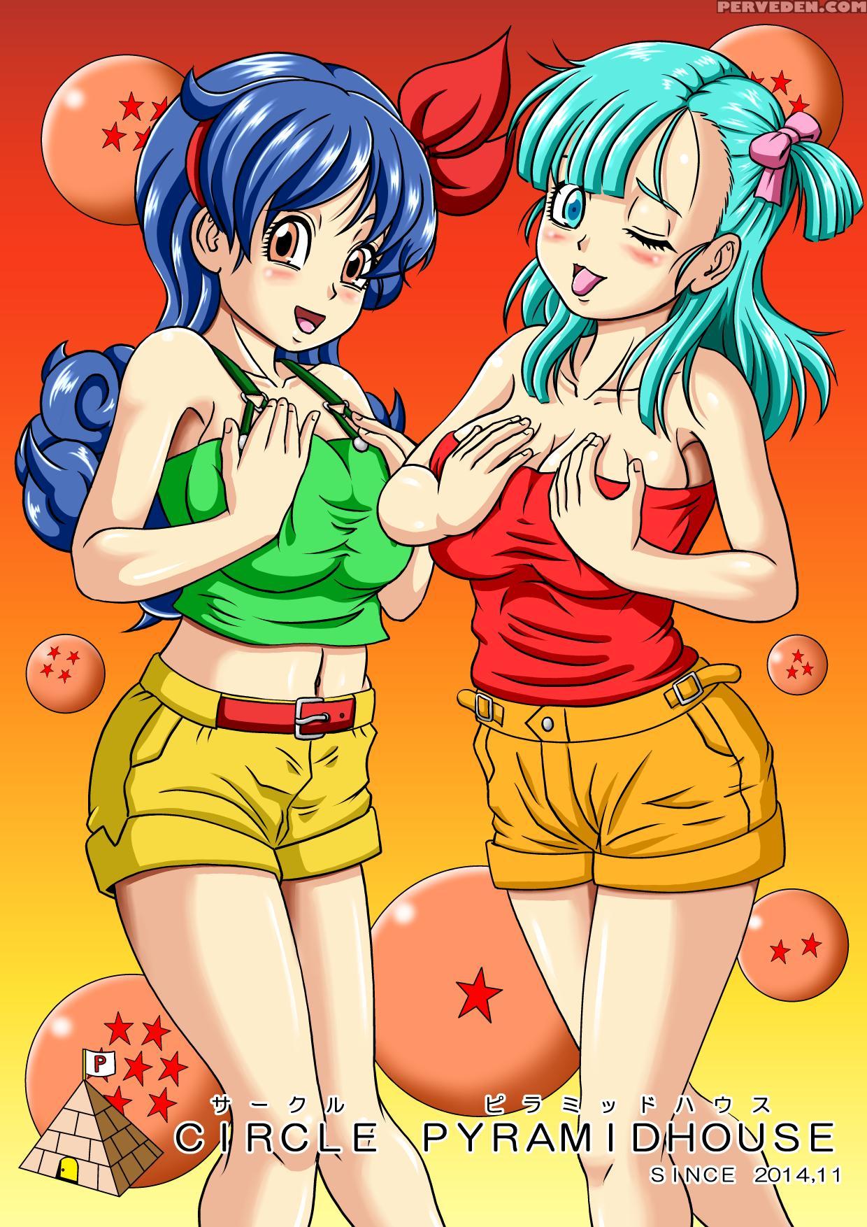 [pyramid House (massuruman)] Kame Sennin No Bitch Choukyou (dragon Ball) [english] [forbidden Translations] [digital] 1