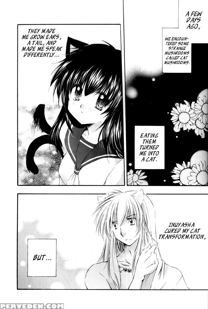 [sakurakan (seriou Sakura)] Neko Moe 2 (inuyasha) [english] [ehcove + Brolen] Chapter 1 Page 4