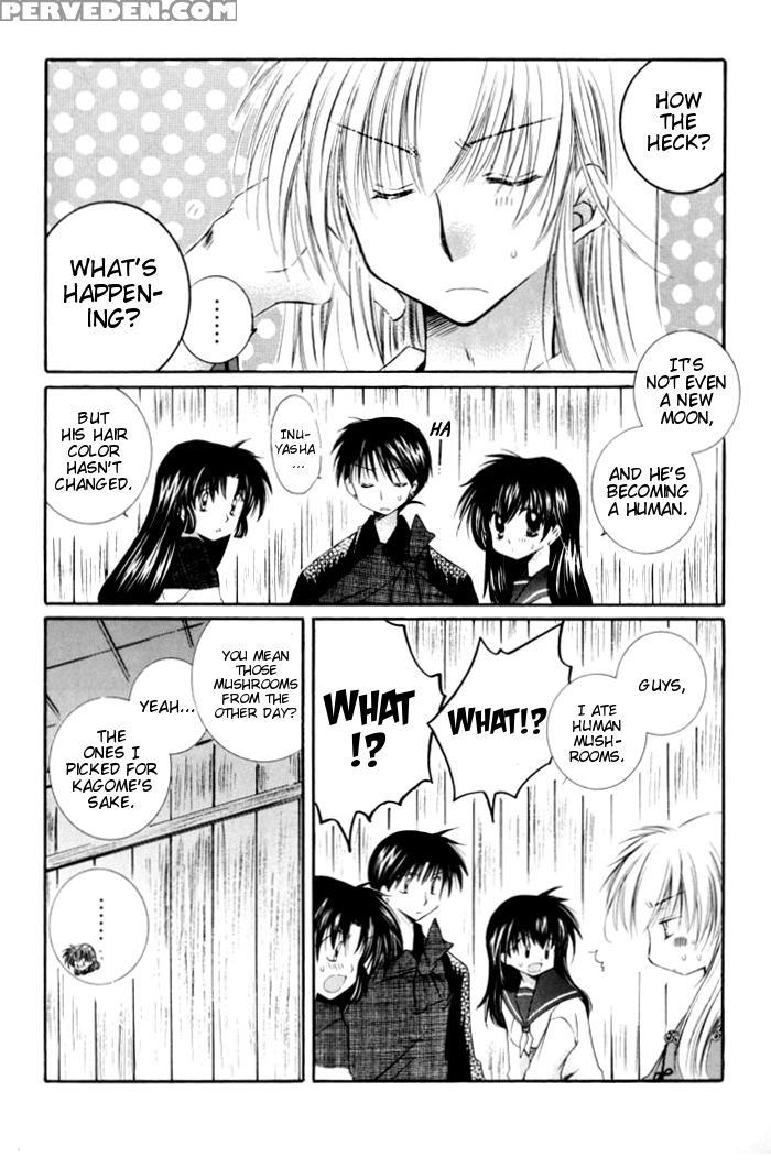 [sakurakan (seriou Sakura)] Neko Moe 2 (inuyasha) [english] [ehcove + Brolen] Chapter 1 Page 5