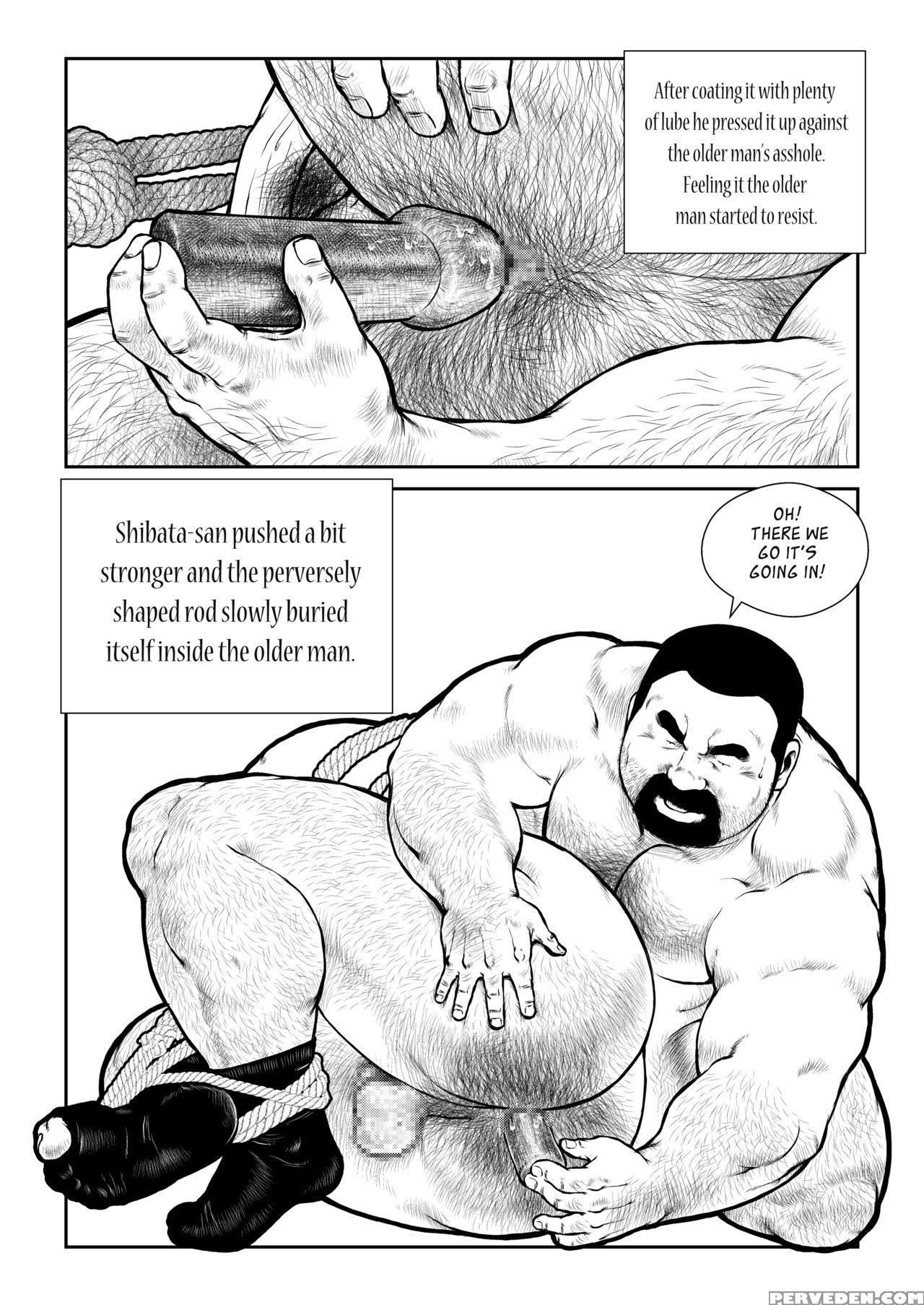 [seizou Ebisubashi] Shibata-san And The Taunki [eng] 1