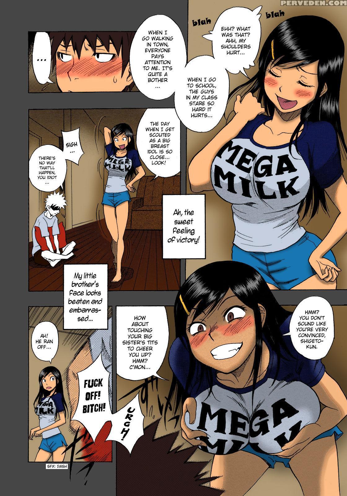 [shiden Akira] Hinnyuu Kyonyuu History | Tiny Boobs Giant Tits History (comic Megastore 2008-03) [english] [rhapfan] 1
