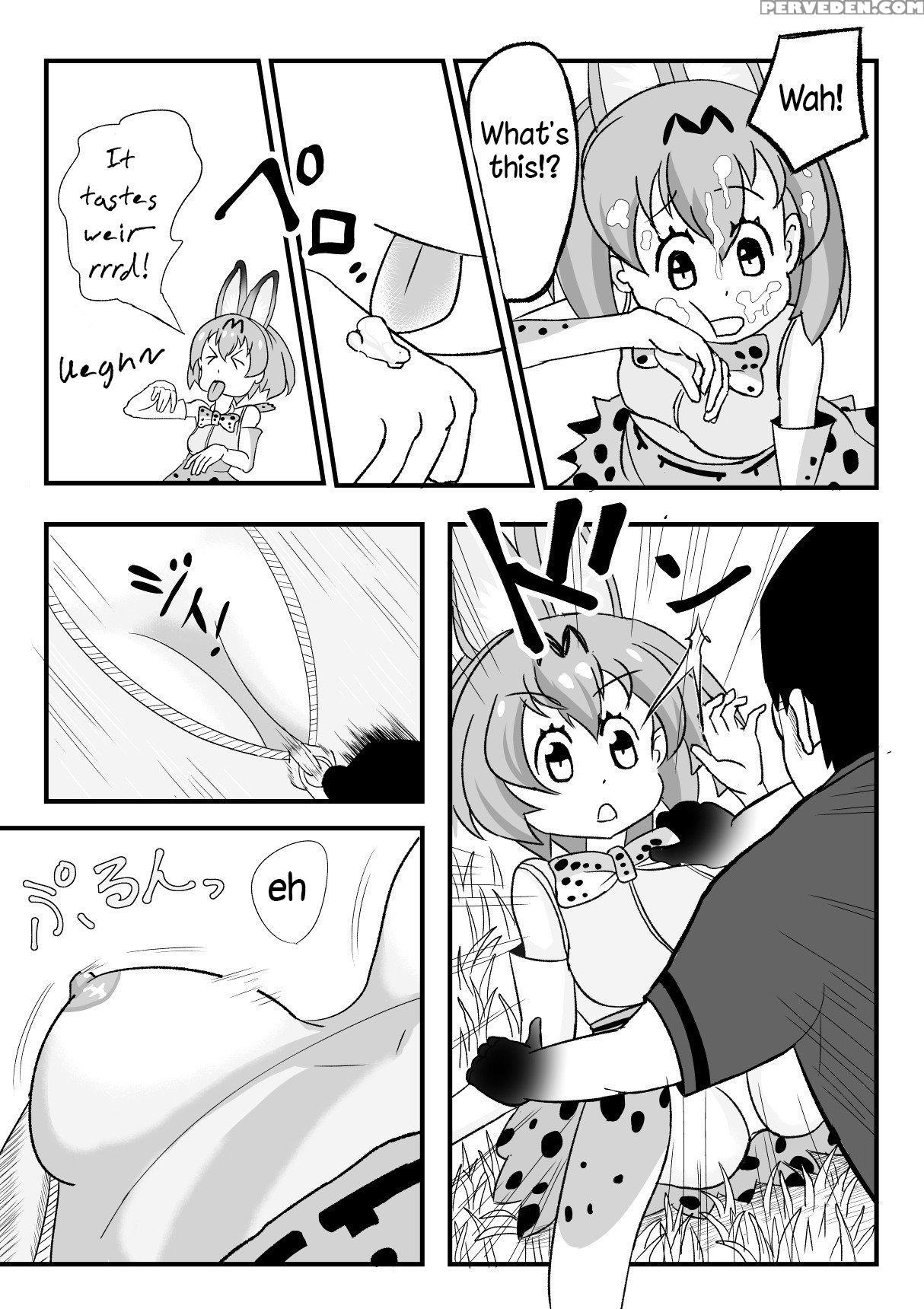 [sikosiko Network (komuro)] Kemomimi Friends | Animal-eared Friends (kemono Friends) [english] {atomicpuppy} Chapter 1 Page 13