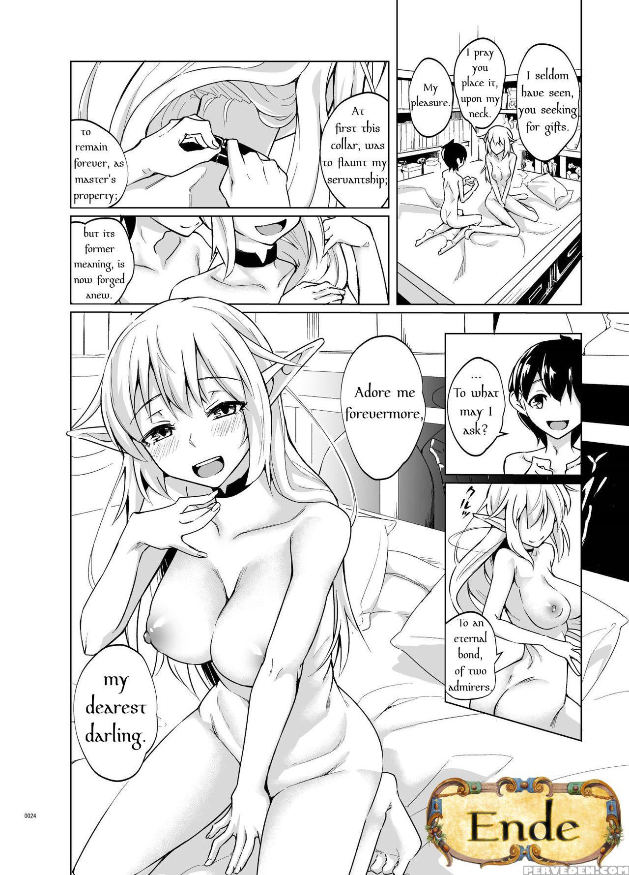 [slapstickstrike (stealth Changing Line)] Toaru Elf O Hikitorimashite | Taking Care Of A Certain Elf [english] [thot Patrol Translations] [digital] 1