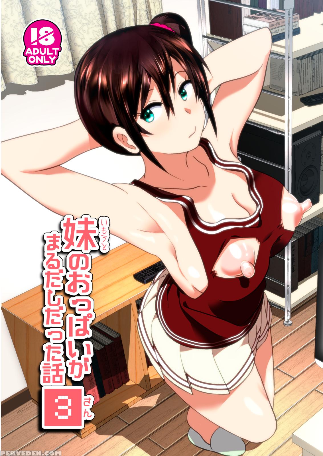 [supe (nakani)] Imouto No Oppai Ga Marudashi Datta Hanashi 3 [english] [desudesu] [digital] 1