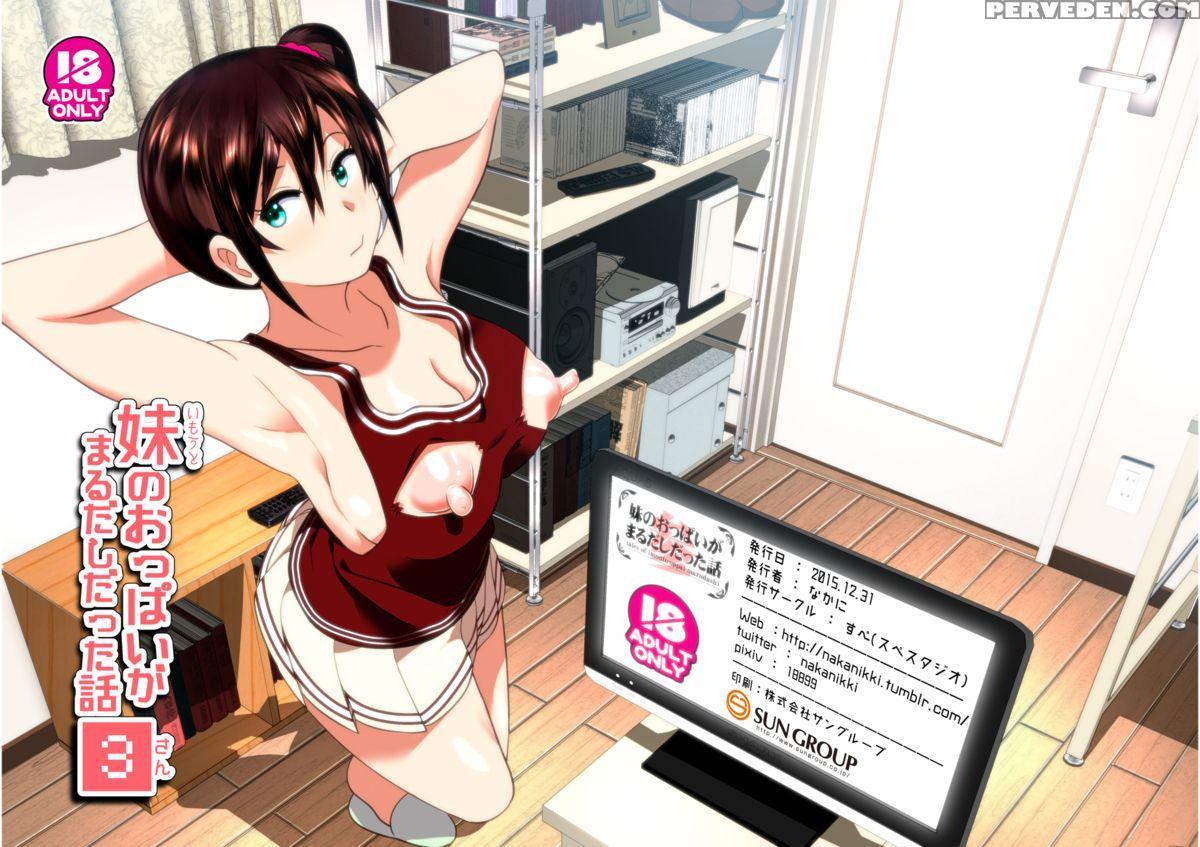 [supe (nakani)] Imouto No Oppai Ga Marudashi Datta Hanashi 3 [english] [desudesu] [digital] 1