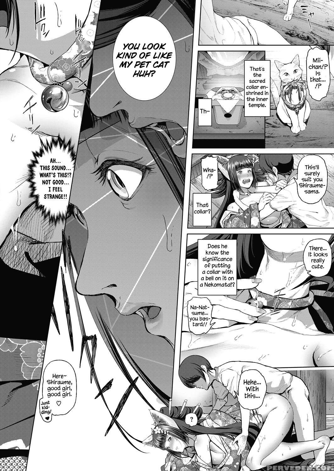 [suzuhane Suzu] Boy Meets Nyaa God | Boy Meets Cat Goddess (ch.1-2) (comic Exe 04-08) [english] [redlantern] [digital] 1