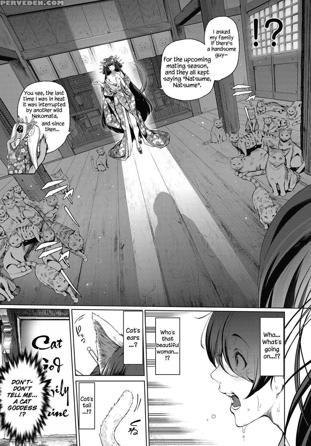 [suzuhane Suzu] Boy Meets Nyaa God | Boy Meets Cat Goddess (comic Exe 04) [english] [redlantern] [digital] 1