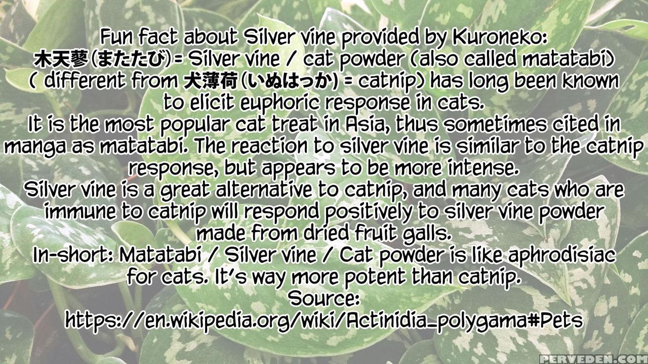 [suzuhane Suzu] Boy Meets Nyaa God | Boy Meets Cat Goddess (comic Exe 04) [english] [redlantern] [digital] 1