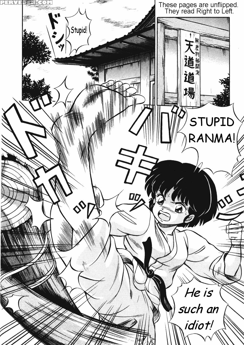 [takashi Taya] Stupid Akane (ranma 1 2) [english] 1