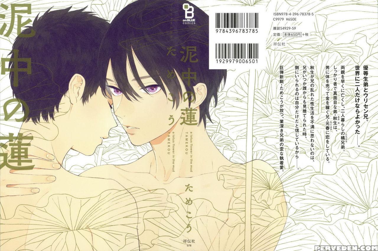 [tamekou] Deichuu No Hasu [english] 1