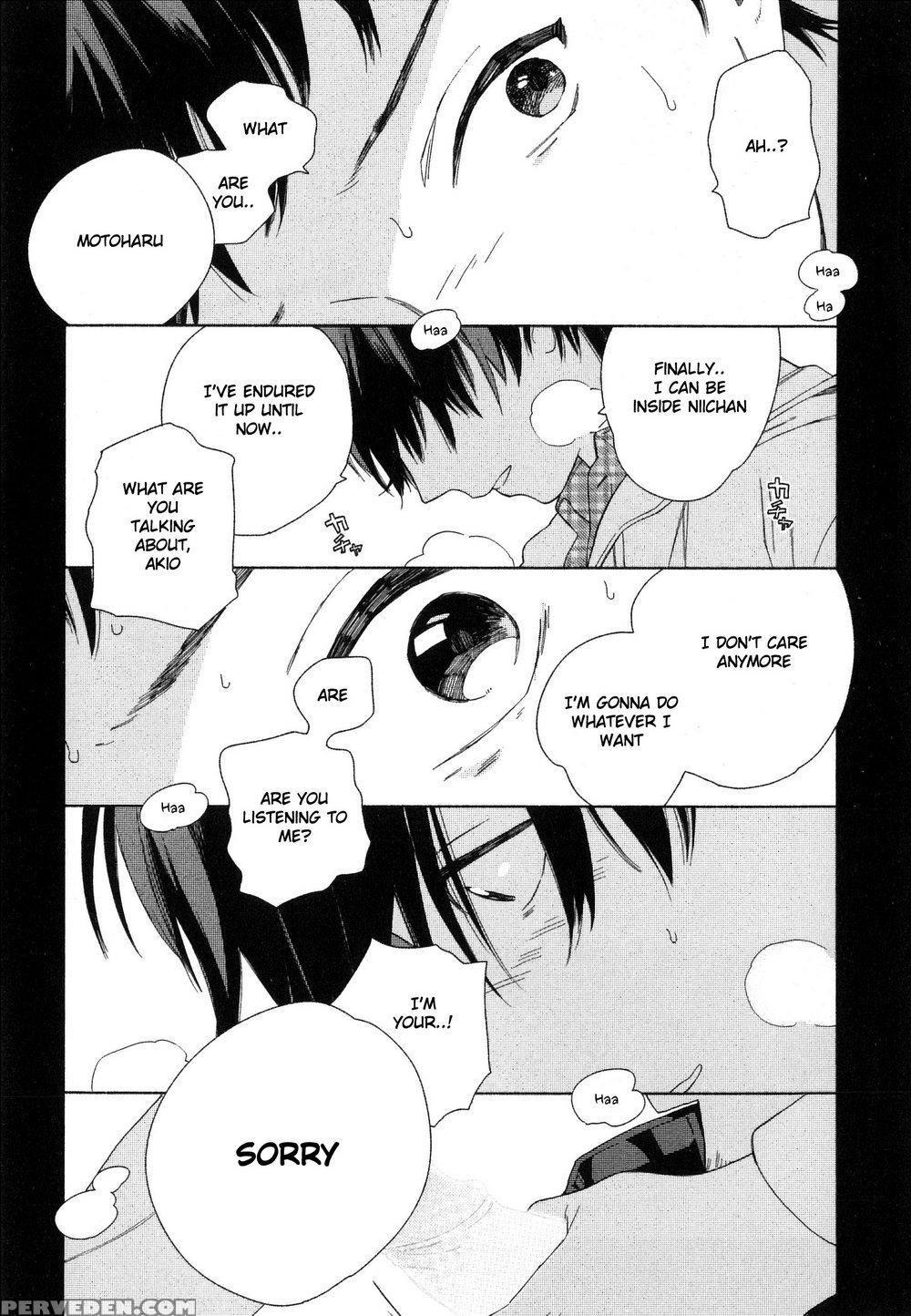 [tamekou] Deichuu No Hasu [english] 1