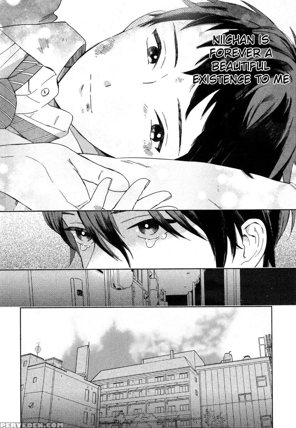 [tamekou] Deichuu No Hasu [english] 1
