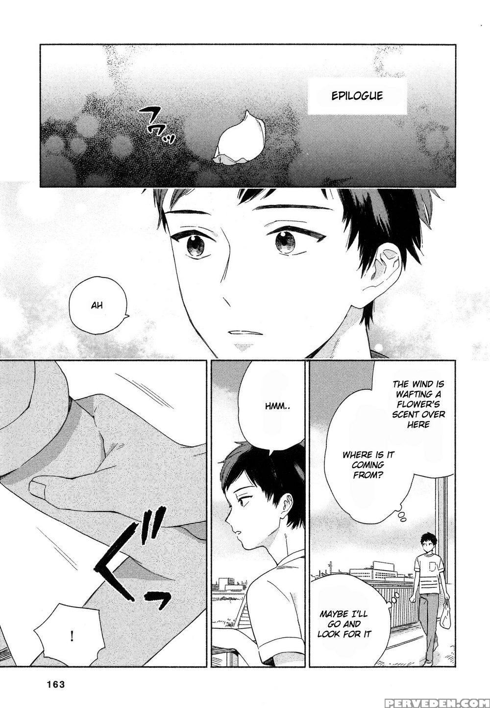 [tamekou] Deichuu No Hasu [english] 1