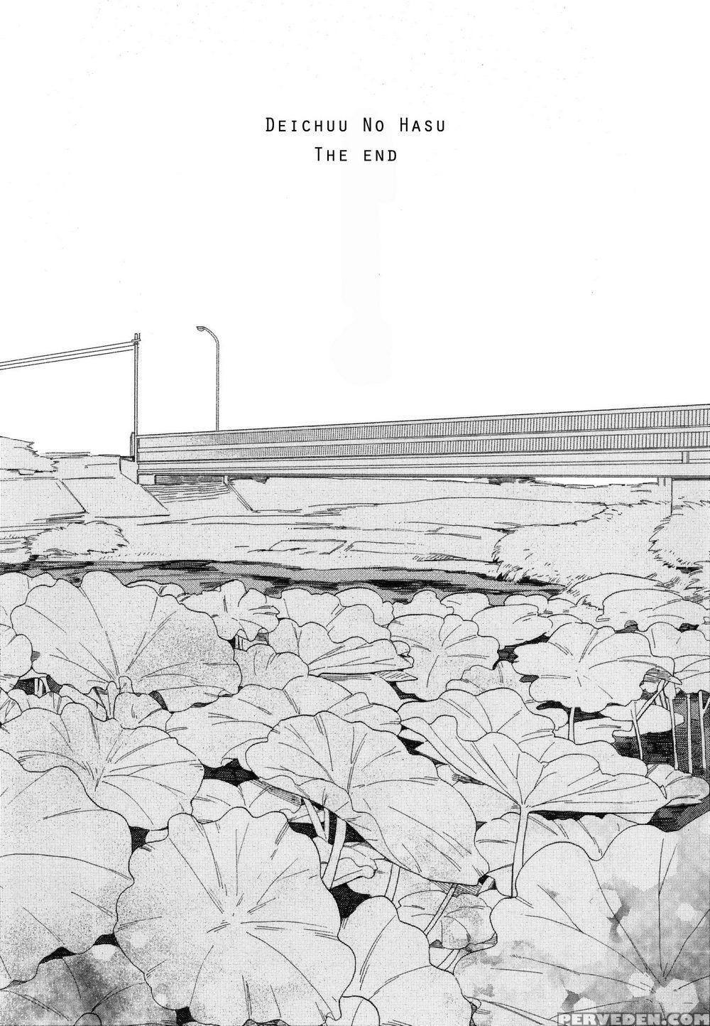 [tamekou] Deichuu No Hasu [english] 1