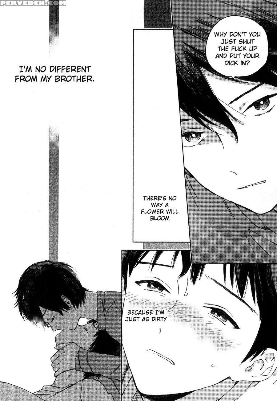 [tamekou] Deichuu No Hasu [english] 1