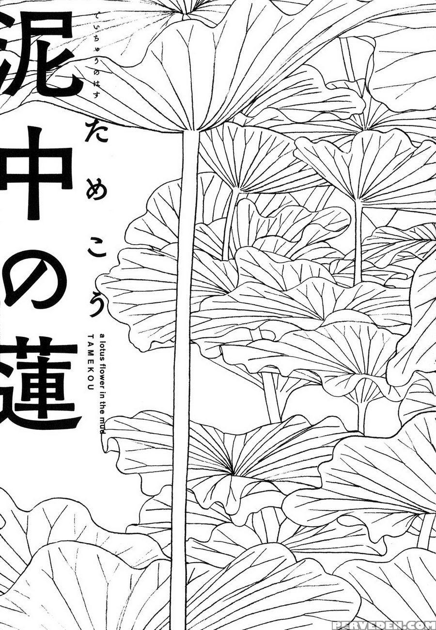 [tamekou] Deichuu No Hasu [english] 1