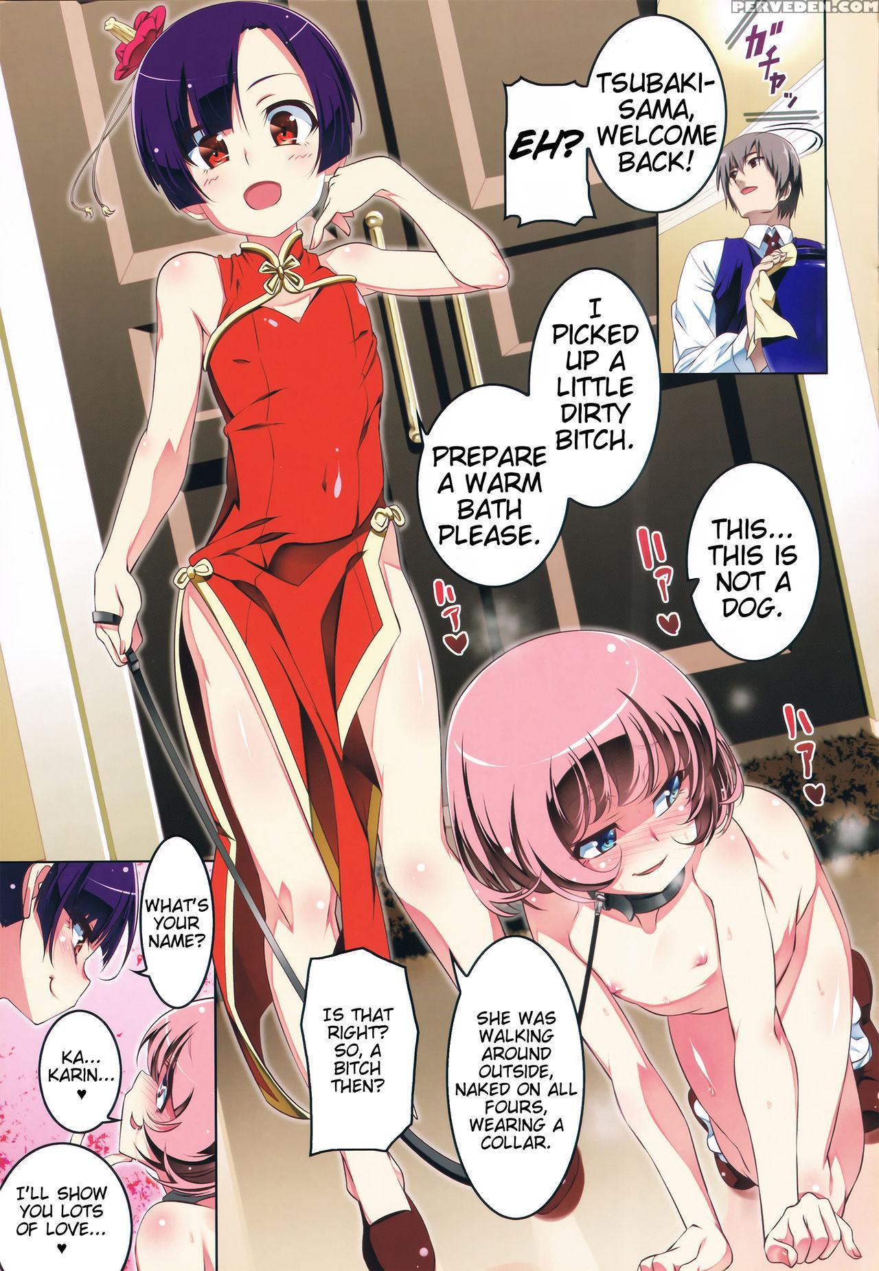 [tanabe Kyou] Toranoana Gentei Petitx Kounyuu Tokuten Tsubaki-sama To Karin-chan No Himitsu No Yuugi [english] [animefan71109] 1