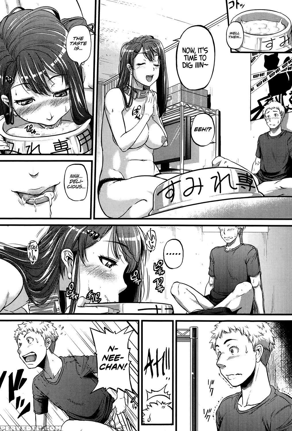 [tonnosuke] Cow Cow Sister! (comic Shingeki 2014-09) [english] [jungy] [decensored] 1