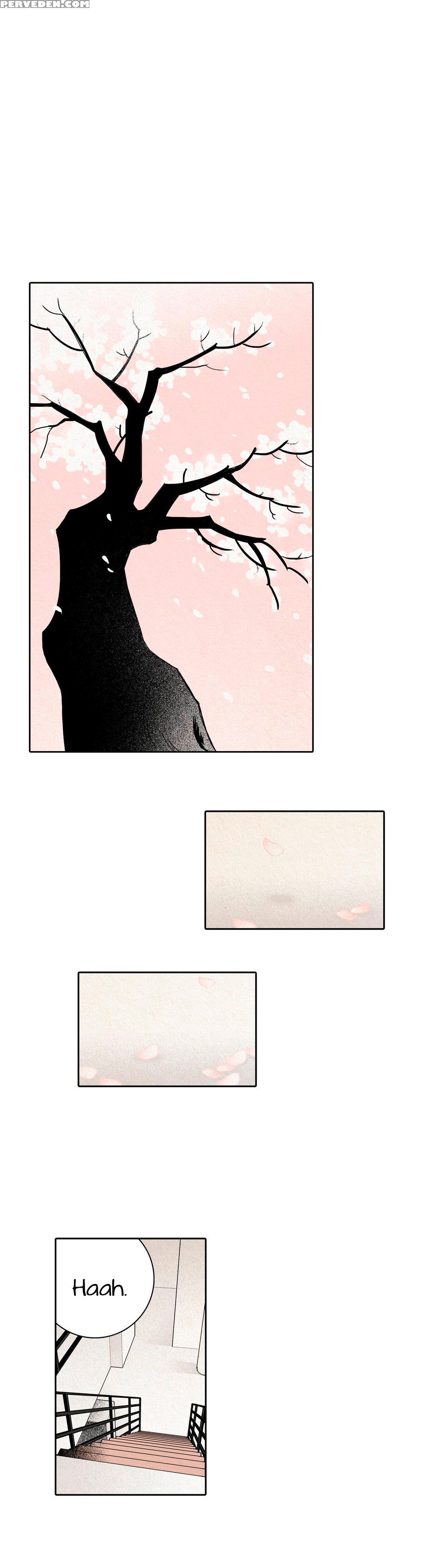 [youngmo] Rabbit Hole Ch.1-6 (english) (yomanga) (ongoing) 1