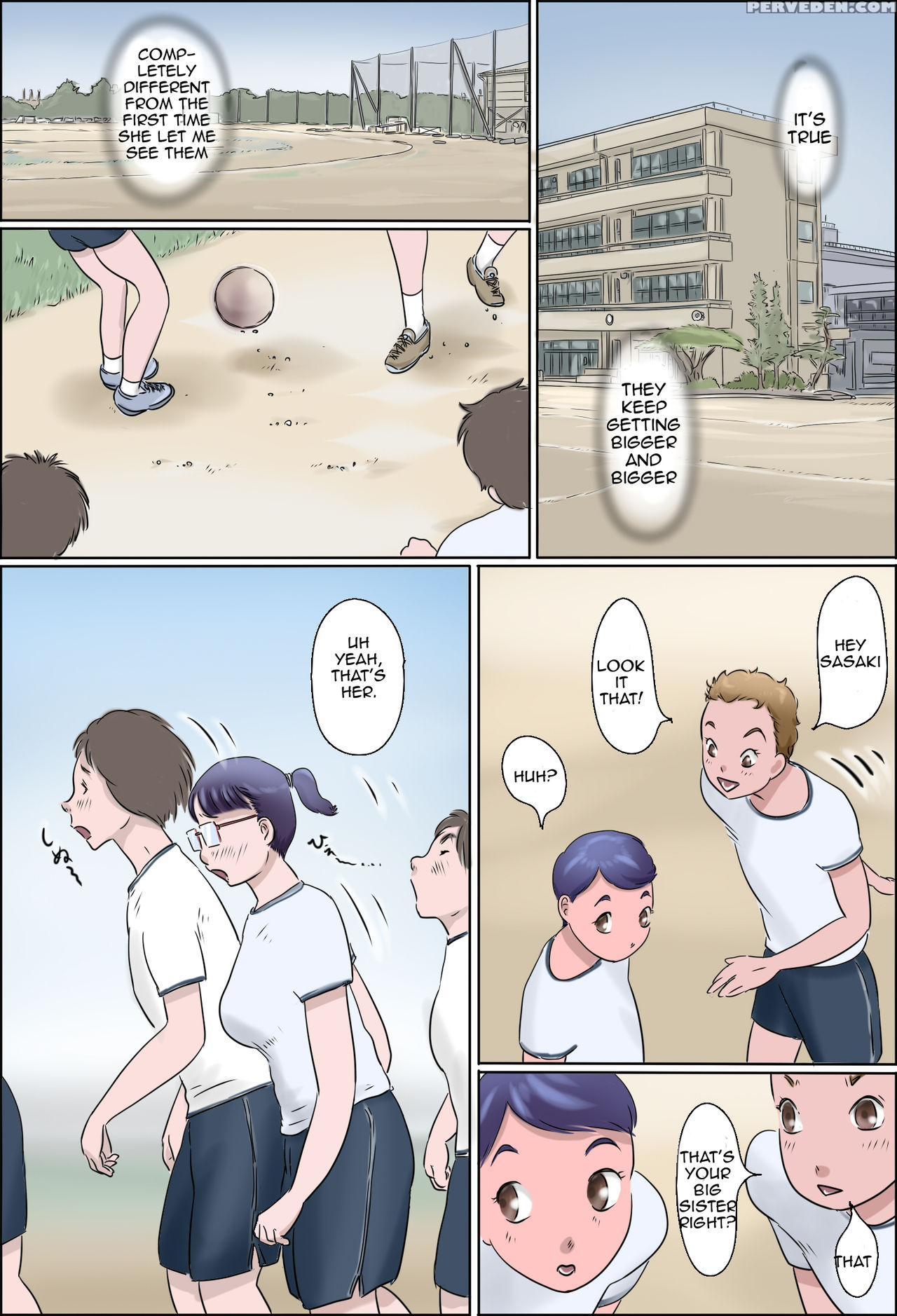 [zenmai Kourogi] Boku No Ane Wa Jimi Dakedo Ii Kanji | My Big Sister Is Plain But Pleasant [english] [amoskandy] 1