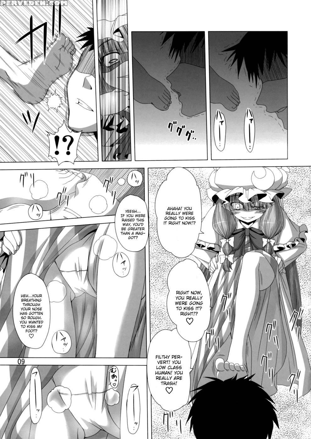 A Book Where Patchouli And Satori Look Down On You With Disgust - Touhou Project 1